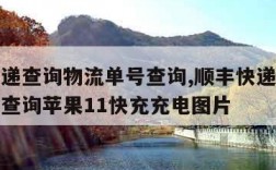 顺丰快递查询物流单号查询,顺丰快递查询物流单号查询苹果11快充充电图片