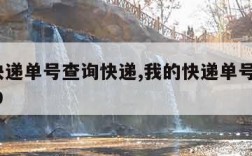 我的快递单号查询快递,我的快递单号查询271169