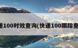 快递100时效查询(快递100跟踪查询)