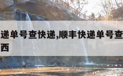 顺丰快递单号查快递,顺丰快递单号查快递是什么东西