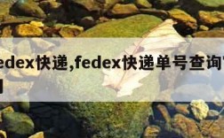 fedex快递,fedex快递单号查询官网