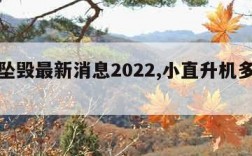 飞机坠毁最新消息2022,小直升机多少钱一架