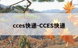 cces快递-CCES快递