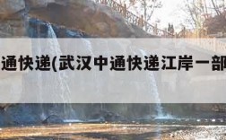 武汉中通快递(武汉中通快递江岸一部在哪里)