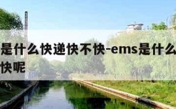 ems是什么快递快不快-ems是什么快递快不快呢