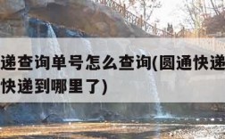 圆通快递查询单号怎么查询(圆通快递单号怎么查询快递到哪里了)