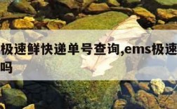 ems极速鲜快递单号查询,ems极速鲜是空运吗