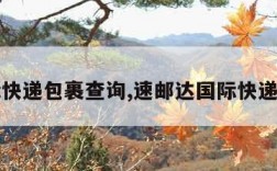 国际快递包裹查询,速邮达国际快递查询