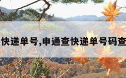 申通查快递单号,申通查快递单号码查询物流