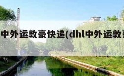 dhl中外运敦豪快递(dhl中外运敦豪官网)