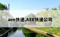 aee快递,AEE快递公司