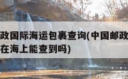 中国邮政国际海运包裹查询(中国邮政海运包裹查询在海上能查到吗)