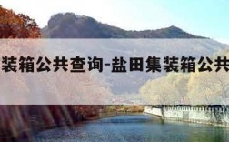 盐田集装箱公共查询-盐田集装箱公共查询官网