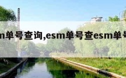 esm单号查询,esm单号查esm单号查询