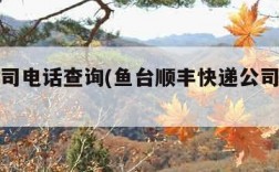 快递公司电话查询(鱼台顺丰快递公司电话查询)