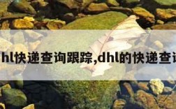 dhl快递查询跟踪,dhl的快递查询