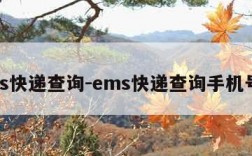 ems快递查询-ems快递查询手机号查