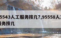 95543人工服务按几?,95558人工服务按几