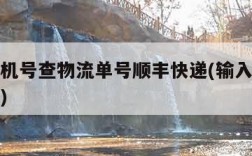 输入手机号查物流单号顺丰快递(输入手机号找订单)