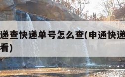 申通快递查快递单号怎么查(申通快递单号查询怎么看)