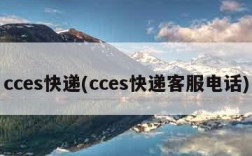 cces快递(cces快递客服电话)