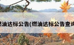 燃油达标公告(燃油达标公告查询)