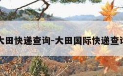 大田快递查询-大田国际快递查询