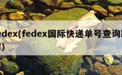 fedex(fedex国际快递单号查询跟踪)