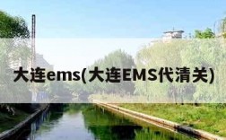 大连ems(大连EMS代清关)
