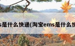 ems是什么快递(淘宝ems是什么快递)