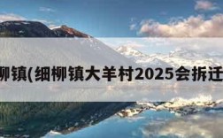 细柳镇(细柳镇大羊村2025会拆迁吗)