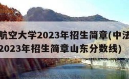 中法航空大学2023年招生简章(中法航空大学2023年招生简章山东分数线)