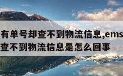 ems有单号却查不到物流信息,ems有单号却查不到物流信息是怎么回事