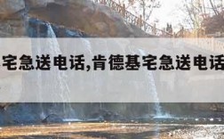 肯德基宅急送电话,肯德基宅急送电话填错了怎么办