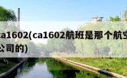 ca1602(ca1602航班是那个航空公司的)