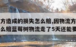 因物流方造成的损失怎么赔,因物流方造成的损失怎么赔蓝莓树物流走了5天还能要吗