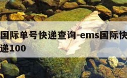 ems国际单号快递查询-ems国际快递查询快递100