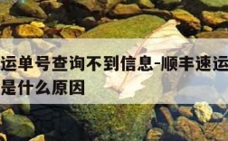 顺丰速运单号查询不到信息-顺丰速运运单号查不到是什么原因