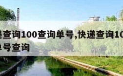 快递查询100查询单号,快递查询100查询单号查询